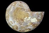 Sliced, Agatized Ammonite Fossil (Half) - Jurassic #100545-1